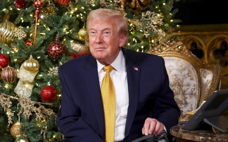 Trump lists accomplishments, says 'Radical Left Scum' are 'failing badly' in Christmas message