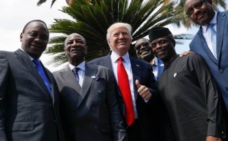 特朗普或许会在不知不觉中让非洲再次伟大