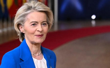 冯德莱恩将参与美乌欧领导人电话会议