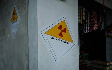 美国再次召回印尼冷冻虾 或遭放射性物质污染