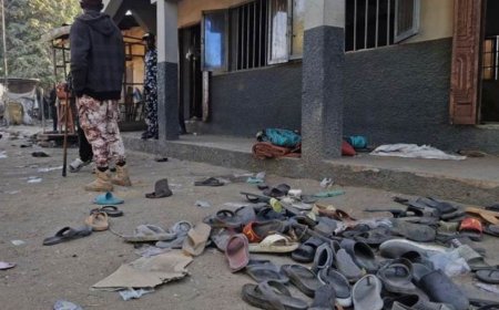 美国轰炸尼日利亚境内“伊斯兰国”：究竟发生了什么？