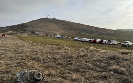 德国拒绝分析利比亚飞机黑匣子：原因为何？还有其他办法吗？