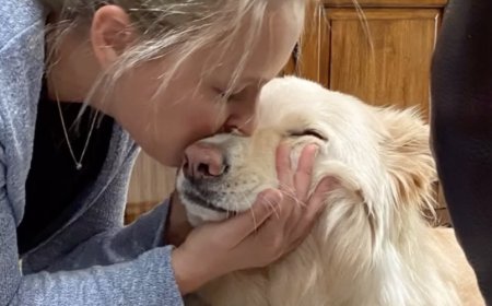 Kate Gosselin Reveals Dog Nanuq Unexpectedly Died Before Christmas