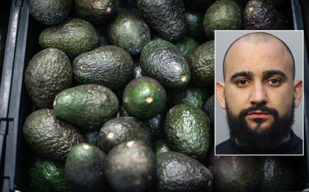 Florida man allegedly steals 400 pounds of avocados to buy Christmas presents for children