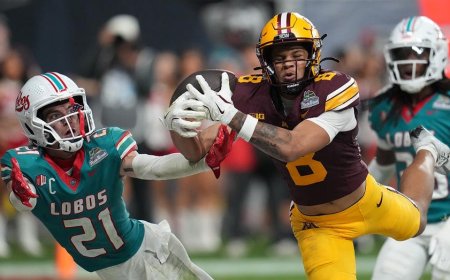 Minnesota wide receiver makes incredible diving catch to win bowl game