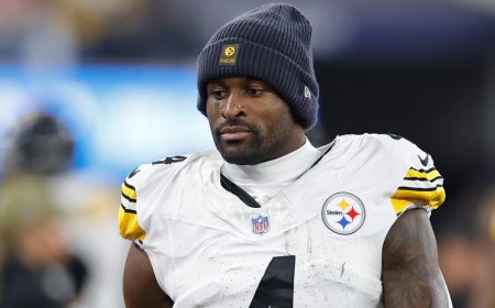 Lions fan involved in altercation with Steelers star denies using racial slurs