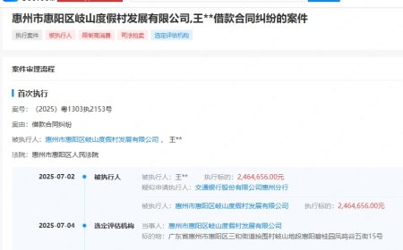 246万元案款未履行 王自如再被限制高消费