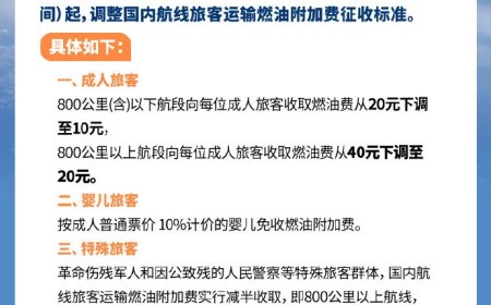 国内航线旅客燃油附加费元旦后下调