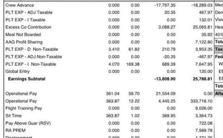 时薪361美元 一年约赚321万人民币 美飞行员晒工资单引羡慕