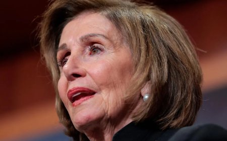 佩洛西：民主党将在中期选举中重夺众议院