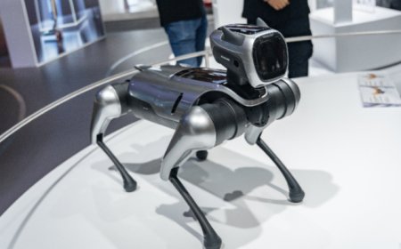 更换审计所遭独董质疑，宝馨科技年报关口过得去吗？