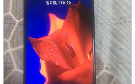 HMD Pulse 2 Pro 手机曝光：紫光展锐 T7250 芯片、6.72 英寸屏幕、5000 万主摄