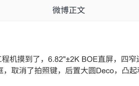 消息称 vivo X300 Ultra 工程机搭载 6.82 英寸 ±2K BOE 直屏，取消拍照键、预计有 LIPO