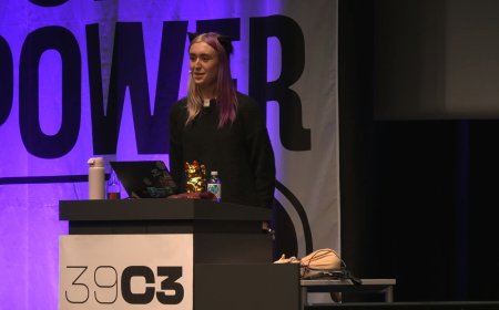 22 岁女研究员攻破英伟达 Tegra X2 芯片底层防线，影响特斯拉 Autopilot 2 和 2.5 自动驾驶硬件