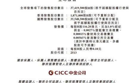 智谱：香港 IPO 拟发行逾 3700 万股，定价 116.2 港元