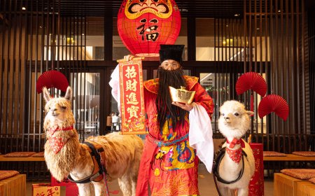 四維航Q4散裝船運價加高　綠舞飯店普發金添業績、春節推早鳥優惠