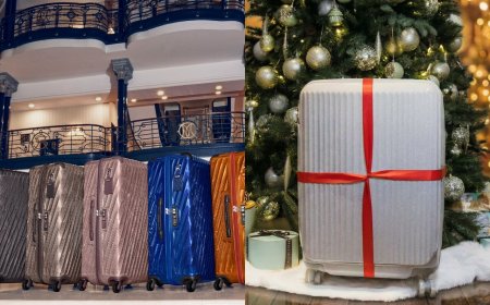 年末出遊就差顆美箱？質感斜紋、閃耀雪銀實用又好看