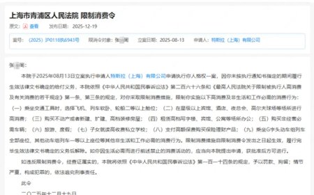 败诉被判赔17万元 车顶维权女车主回应被特斯拉申请限高