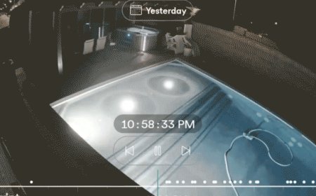 Wild video shows speeding car going airborne, ejects driver into backyard pool