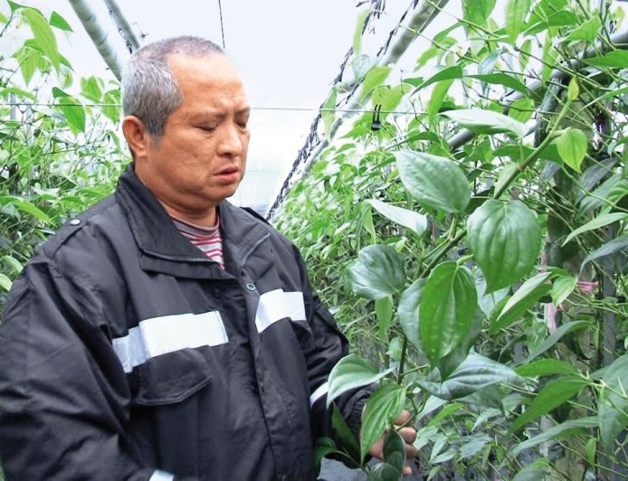 南迴搞軌謀殺離奇命案！兄弟合謀殺越妻　弟尋短、兄低調出獄