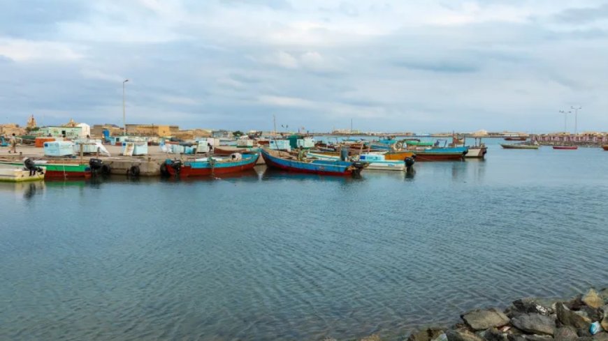 苏丹向俄罗斯在红海建立永久基地敞开大门
