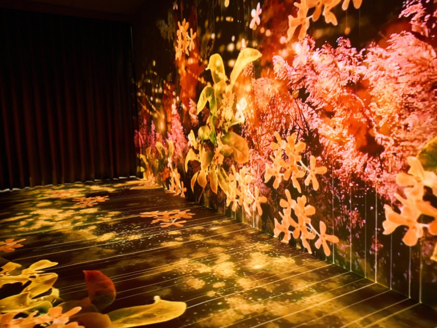 「緩緩坪林旅遊館」12/6開幕　沉浸式光影、品茶超愜意