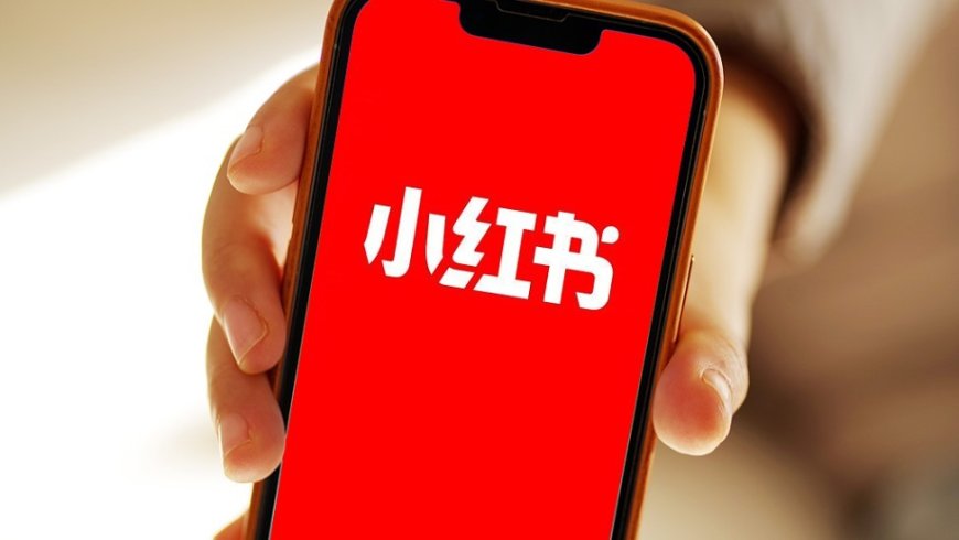 胡锡进：连小红书都怕，说明台当局现在真的已经风声鹤唳，草木皆兵