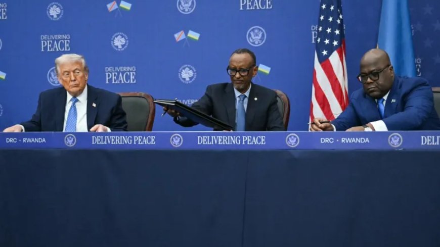 华盛顿斡旋下达成的刚果-卢旺达和平协议：乐观与担忧并存