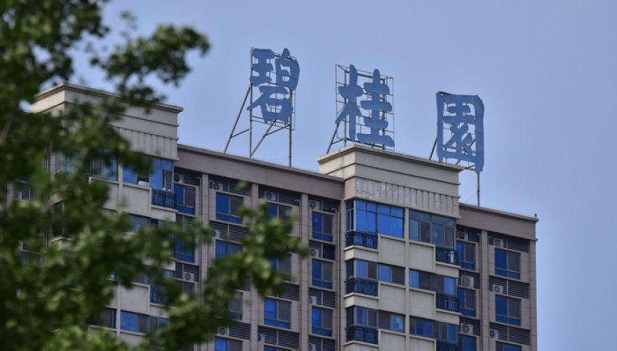 化债落地、管理层调整，碧桂园开启“二次创业”