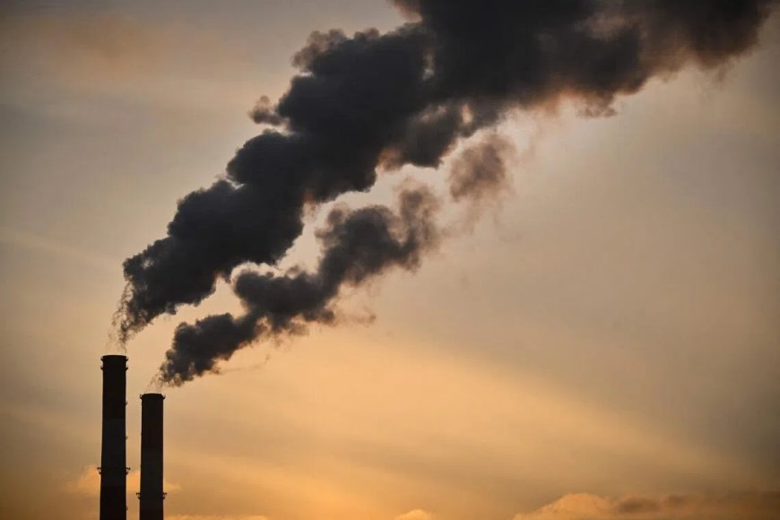 欧盟气候监测机构基本确定 今年为有记录以来第二热年