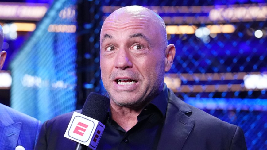 Joe Rogan and MMA fighter warn upcoming White House UFC event poses serious security and safety concerns