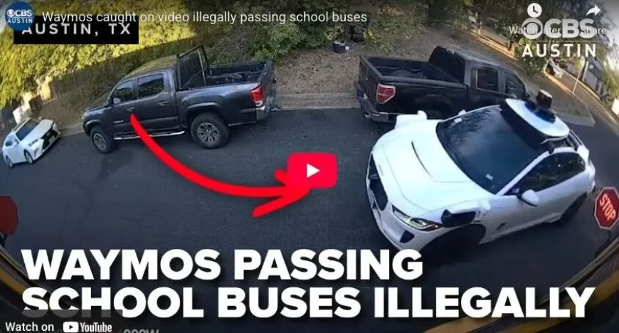 闯红灯加塞、碾猫撞狗 无人驾驶出租车闯祸不断