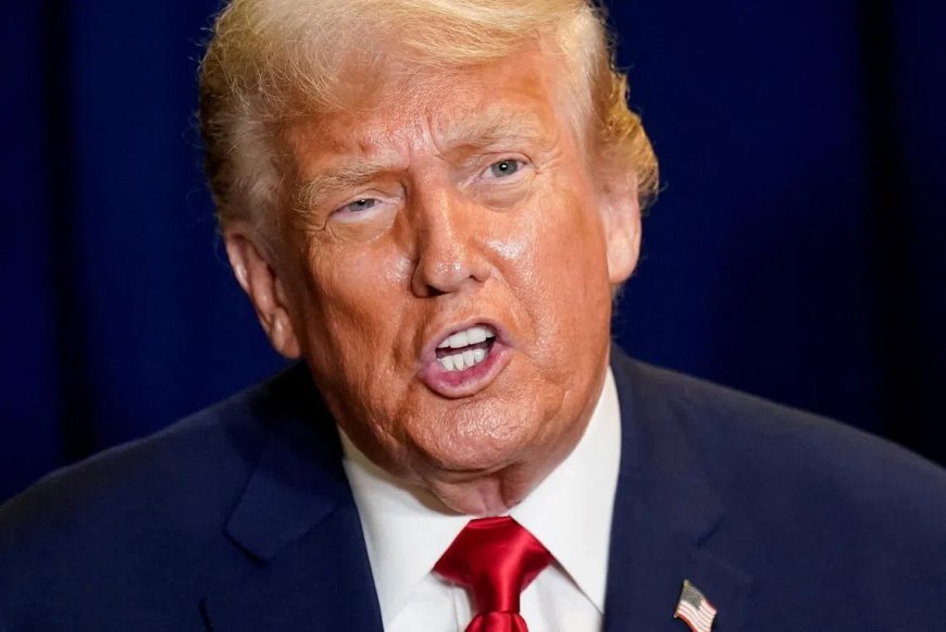 反驳特朗普涉欧言论 联合国称欧洲人权政策成就巨大