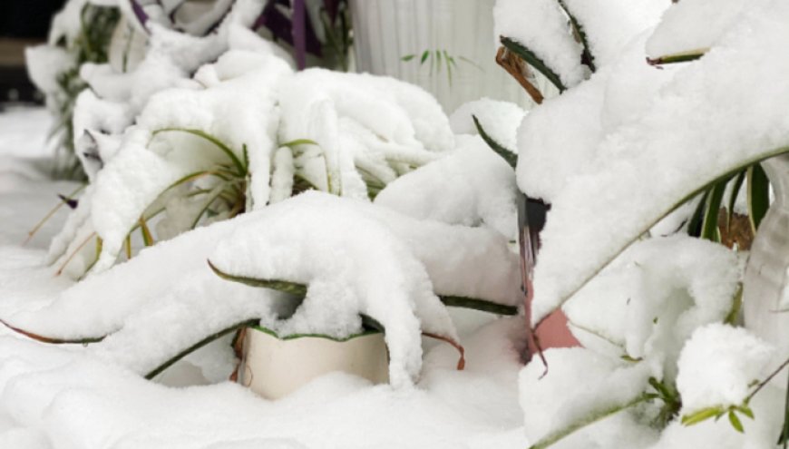 直通部委｜气象局启动重大气象灾害四级应急响应 11月份CPI同比上涨0.7%