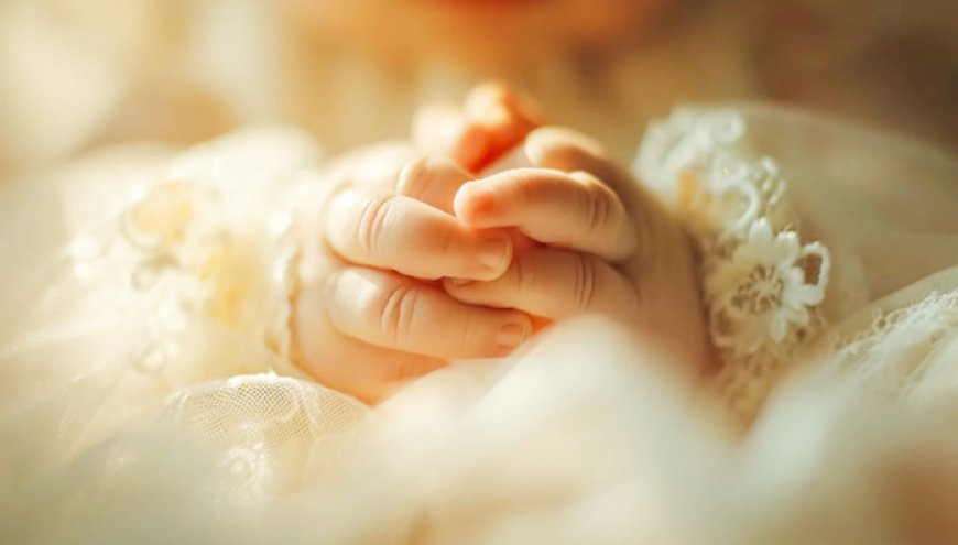 地方新闻精选 | 湖北荆门对试管婴儿最高补贴1万元 新疆预计将出现特强寒潮