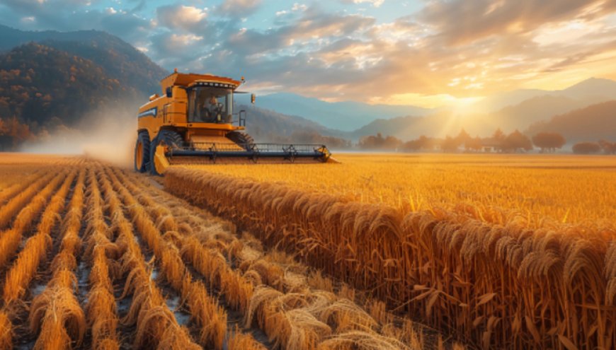 再超1.4万亿斤，我国粮食总产量已实现“二十二连丰”