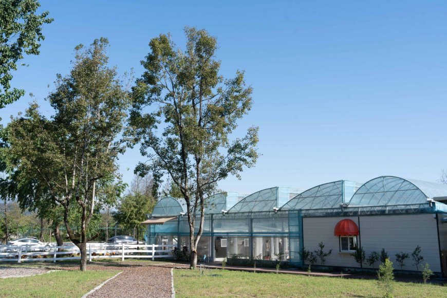 宜蘭首座「文青溫室 × 動物互動 × 手作體驗」 農場啟動歲末試營運