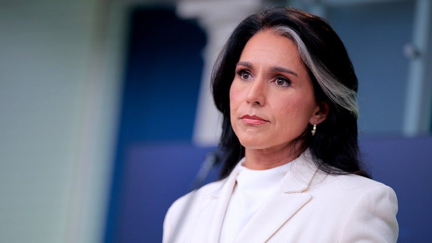 Tulsi Gabbard warns of 'direct threat' from suspected terrorists now living in United States