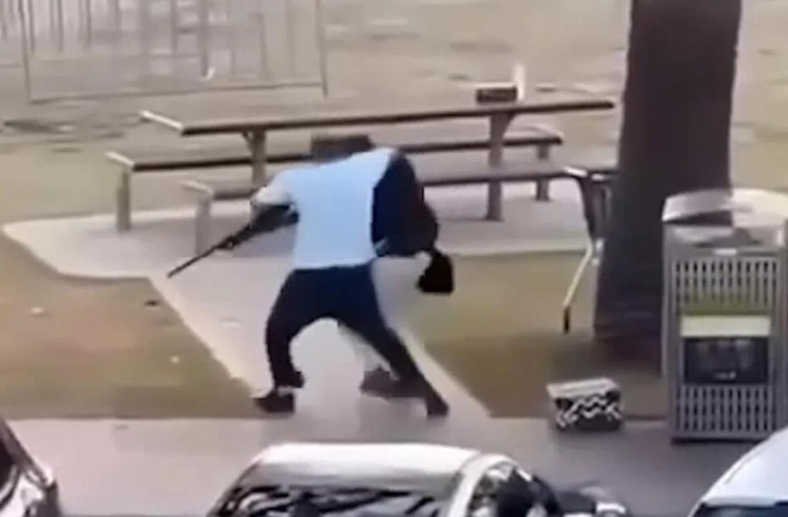 邦迪滩枪击案：水果店老板勇夺枪 被誉为英雄