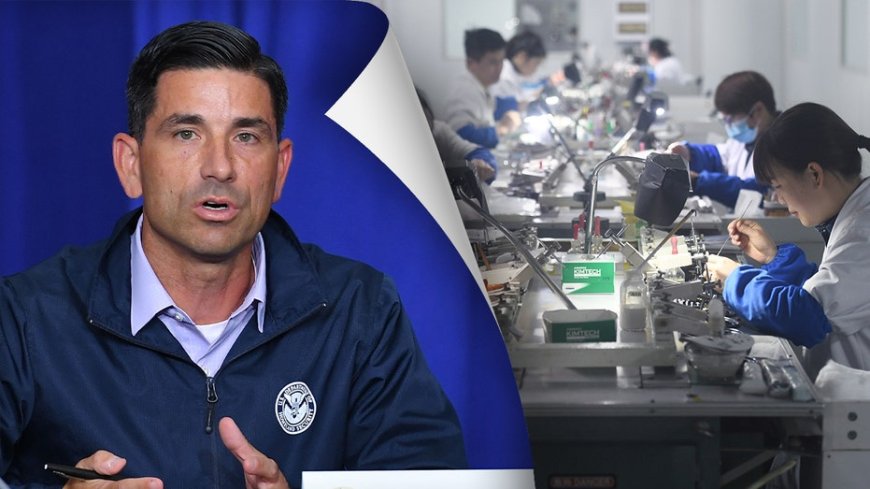 Ex-Trump DHS official sounds alarm over national security threat within critical US industry