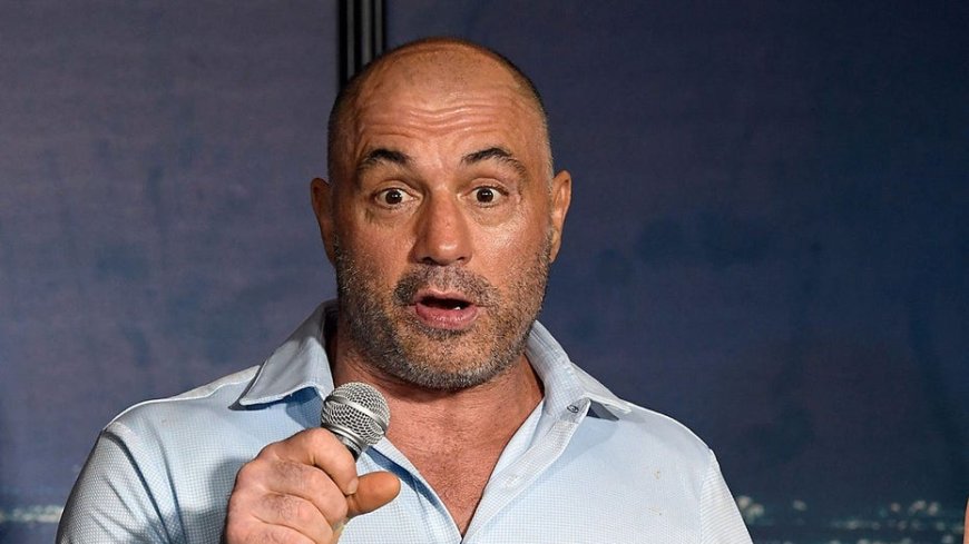 Rogan blames liberal policies for allowing 'monsters' to run amok, eat house pets
