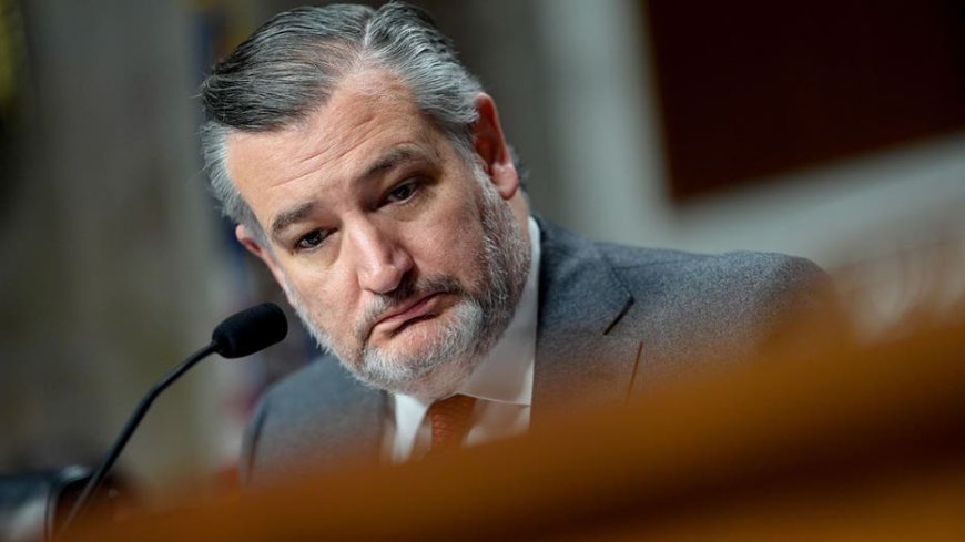 Ted Cruz roasts Democrats, late-night comics and Biden administration while grilling FCC Chair Brendan Carr