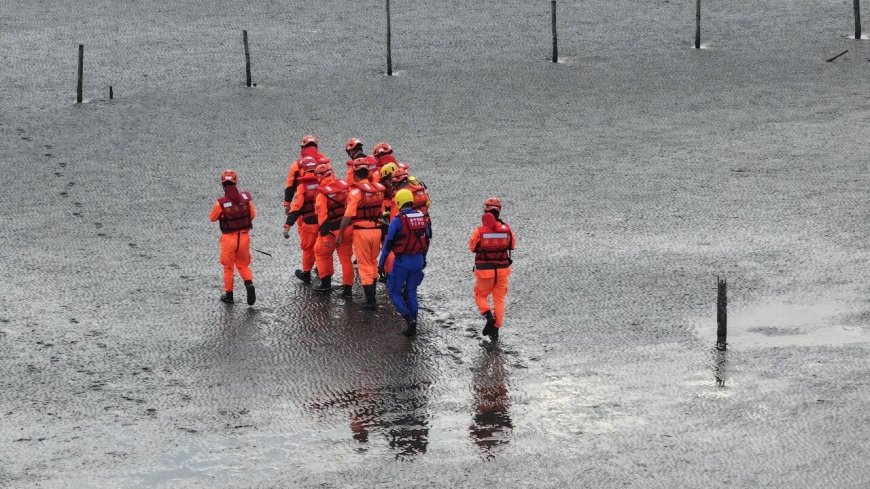 快訊／台中警彰化釣魚落水！海空漏夜搜救　蚵農清晨發現遺體