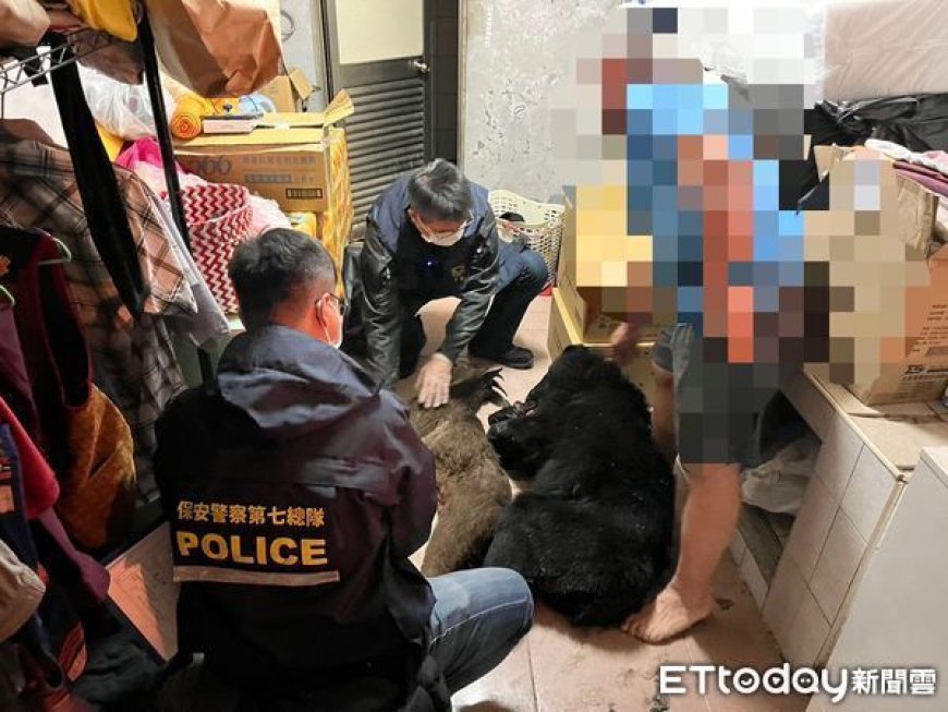 9人獵殺4台灣黑熊一審無罪　「黑熊媽媽」黃美秀發聲