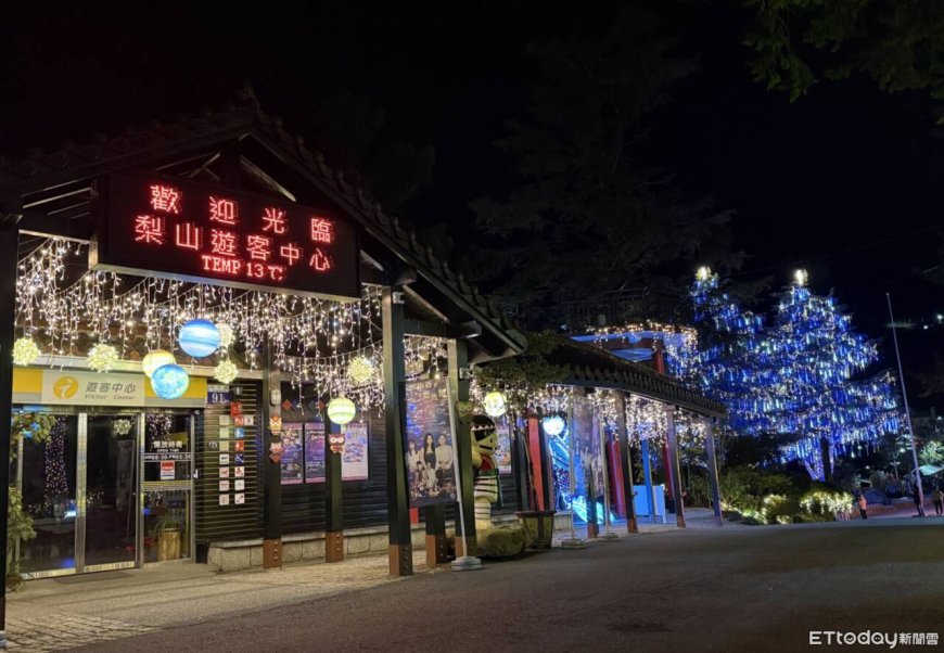 馬年將至！梨山梅花與燈光映照高山新年步調