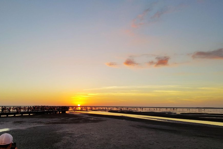 不只有消波塊！從高美濕地到沙鹿肉圓　探索台中海線風中純樸的魅力