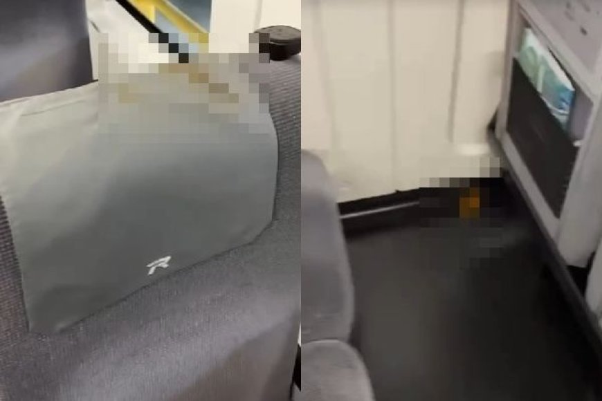 超噁！通緝犯「屎甩車廂」抹自強號座椅　台鐵求償18萬獲准