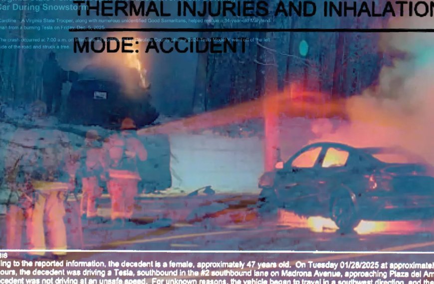 彭博：特斯拉车门打不开已在美国造成至少15人身亡