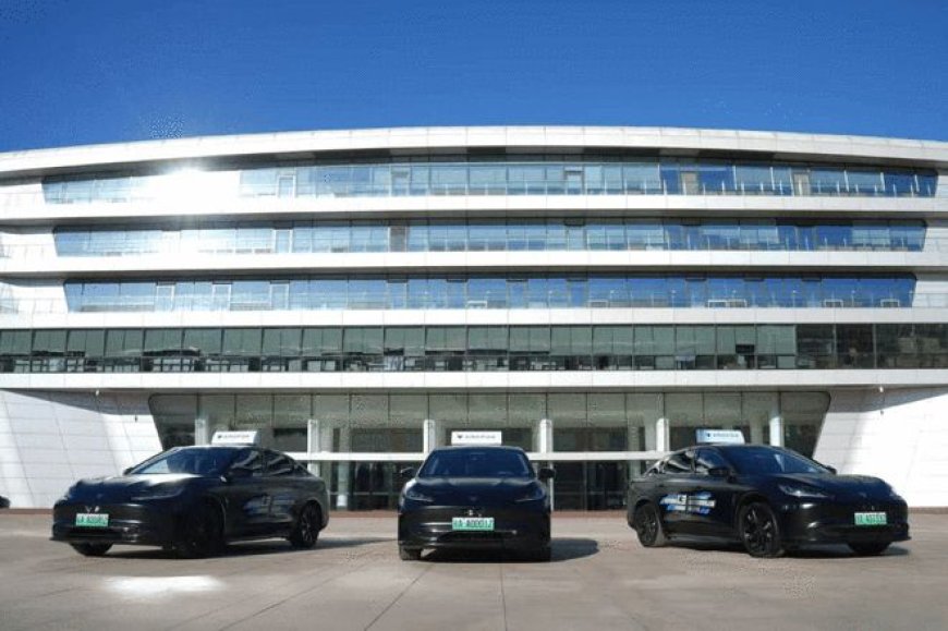 L3专用号牌来了 但车企再也不敢＂狂奔＂