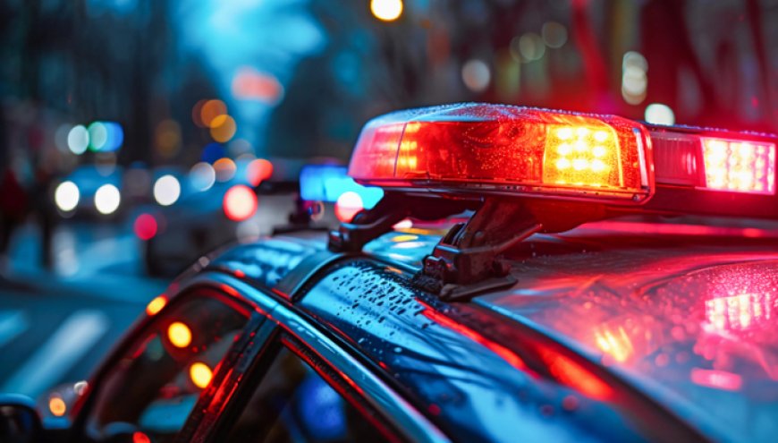 两名台湾籍嫌犯被悬赏追捕：系走私惯犯，涉长期向大陆走私冻品